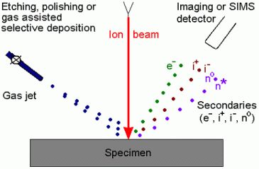 Sources of image signals in the ion microscope.