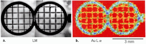 Micro -XFA test specimen